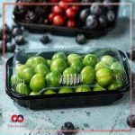 نفیس تک خانه مستطیل مشکی