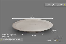 download – 2025-08-31T093901.009 بشقاب بزرگ گیاهی