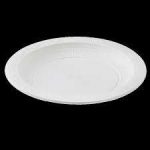 بشقاب بزرگ گیاهی - کارتنی