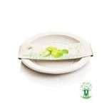 بشقاب بزرگ گیاهی - کارتنی