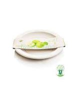 بشقاب بزرگ گیاهی - کارتنی