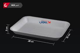 download – 2025-08-26T133003.971 دیس فوم کبابی کاسپین