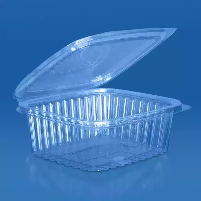 ظرف دلی ایساتیس