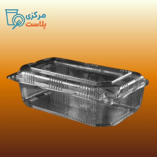 Untitled design (45) لانچ باکس کاسپین