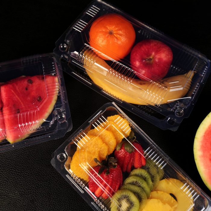 لانچ باکس کوتاه ایساتیس