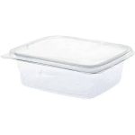 ظرف دلی ایساتیس